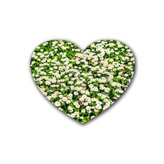 Green Field Of White Daisy Flowers Rubber Coaster (heart)  by FunnyCow