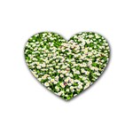 Green Field Of White Daisy Flowers Heart Coaster (4 pack)  Front