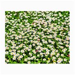 Green Field Of White Daisy Flowers Small Glasses Cloth (2-Side) Front