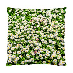 Green Field Of White Daisy Flowers Standard Cushion Case (two Sides) by FunnyCow