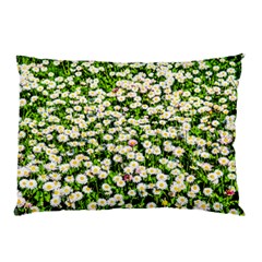 Green Field Of White Daisy Flowers Pillow Case by FunnyCow