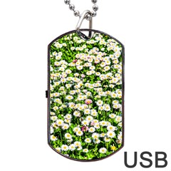 Green Field Of White Daisy Flowers Dog Tag Usb Flash (one Side) by FunnyCow