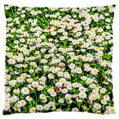 Green Field Of White Daisy Flowers Large Cushion Case (one Side) by FunnyCow