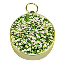 Green Field Of White Daisy Flowers Gold Compasses by FunnyCow