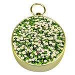 Green Field Of White Daisy Flowers Gold Compasses Front