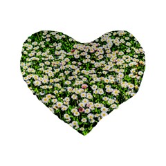 Green Field Of White Daisy Flowers Standard 16  Premium Flano Heart Shape Cushions by FunnyCow