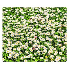 Green Field Of White Daisy Flowers Double Sided Flano Blanket (small)  by FunnyCow