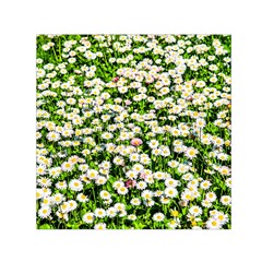 Green Field Of White Daisy Flowers Small Satin Scarf (square) by FunnyCow