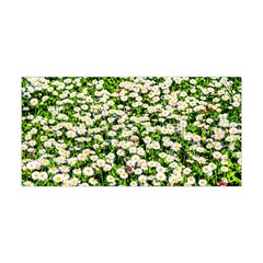 Green Field Of White Daisy Flowers Yoga Headband by FunnyCow