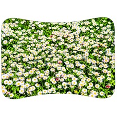 Green Field Of White Daisy Flowers Velour Seat Head Rest Cushion by FunnyCow