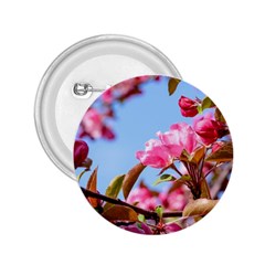 Crab Apple Blossoms 2 25  Buttons by FunnyCow