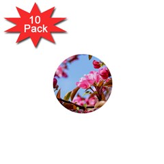 Crab Apple Blossoms 1  Mini Buttons (10 Pack)  by FunnyCow