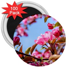 Crab Apple Blossoms 3  Magnets (100 Pack) by FunnyCow