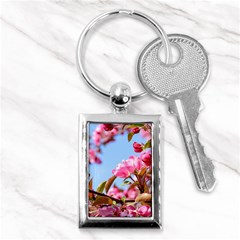 Crab Apple Blossoms Key Chains (rectangle)  by FunnyCow