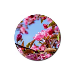 Crab Apple Blossoms Rubber Coaster (round)  by FunnyCow