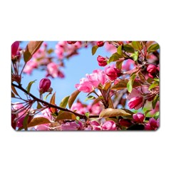 Crab Apple Blossoms Magnet (rectangular) by FunnyCow