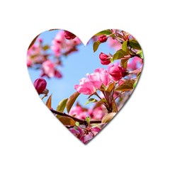 Crab Apple Blossoms Heart Magnet by FunnyCow