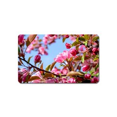 Crab Apple Blossoms Magnet (name Card) by FunnyCow