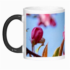 Crab Apple Blossoms Morph Mugs by FunnyCow