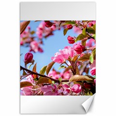 Crab Apple Blossoms Canvas 20  X 30   by FunnyCow