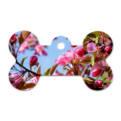 Crab Apple Blossoms Dog Tag Bone (two Sides) by FunnyCow