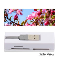 Crab Apple Blossoms Memory Card Reader (stick) by FunnyCow