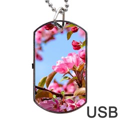 Crab Apple Blossoms Dog Tag Usb Flash (one Side) by FunnyCow