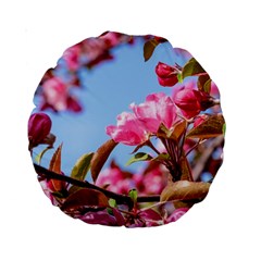 Crab Apple Blossoms Standard 15  Premium Round Cushions by FunnyCow