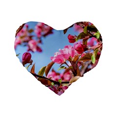 Crab Apple Blossoms Standard 16  Premium Heart Shape Cushions by FunnyCow