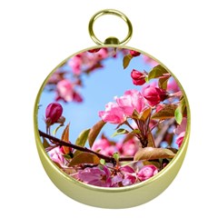 Crab Apple Blossoms Gold Compasses by FunnyCow