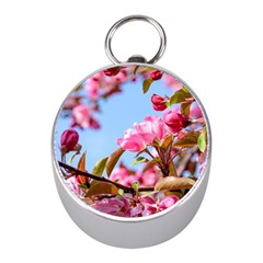 Crab Apple Blossoms Mini Silver Compasses by FunnyCow