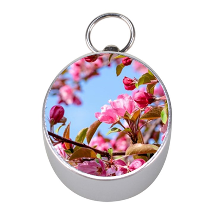 Crab Apple Blossoms Mini Silver Compasses