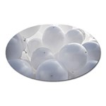 White Toy Balloons Oval Magnet Front