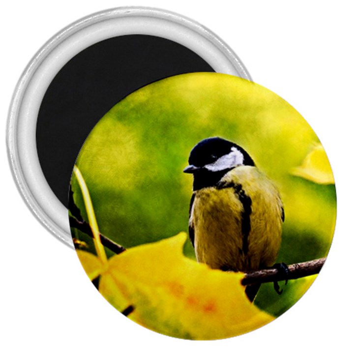 Tomtit Bird Dressed To The Season 3  Magnets