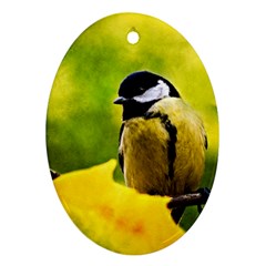 Tomtit Bird Dressed To The Season Ornament (oval) by FunnyCow