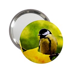 Tomtit Bird Dressed To The Season 2 25  Handbag Mirrors by FunnyCow