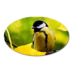 Tomtit Bird Dressed To The Season Oval Magnet by FunnyCow