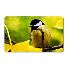 Tomtit Bird Dressed To The Season Magnet (rectangular) by FunnyCow