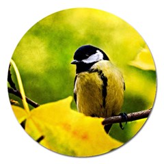 Tomtit Bird Dressed To The Season Magnet 5  (round) by FunnyCow