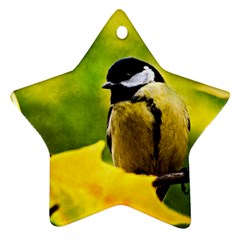 Tomtit Bird Dressed To The Season Star Ornament (two Sides) by FunnyCow