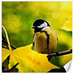 Tomtit Bird Dressed To The Season Canvas 12  X 12   by FunnyCow