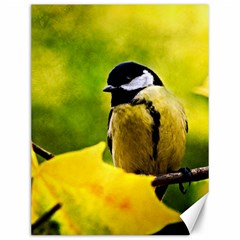 Tomtit Bird Dressed To The Season Canvas 12  X 16   by FunnyCow