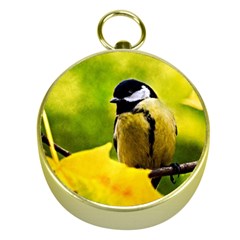 Tomtit Bird Dressed To The Season Gold Compasses by FunnyCow