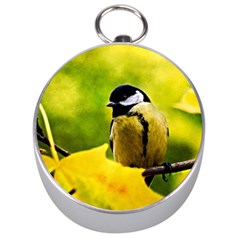 Tomtit Bird Dressed To The Season Silver Compasses by FunnyCow