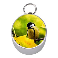 Tomtit Bird Dressed To The Season Mini Silver Compasses by FunnyCow