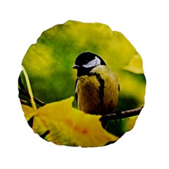 Tomtit Bird Dressed To The Season Standard 15  Premium Flano Round Cushions by FunnyCow