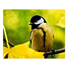 Tomtit Bird Dressed To The Season Double Sided Flano Blanket (large)  by FunnyCow