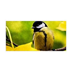 Tomtit Bird Dressed To The Season Yoga Headband by FunnyCow