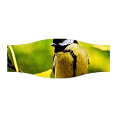 Tomtit Bird Dressed To The Season Stretchable Headband by FunnyCow