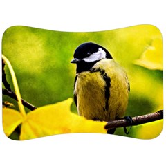 Tomtit Bird Dressed To The Season Velour Seat Head Rest Cushion by FunnyCow